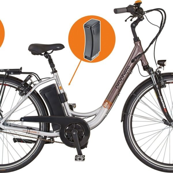 Prophete E-Bike Geniesser pro inkl
