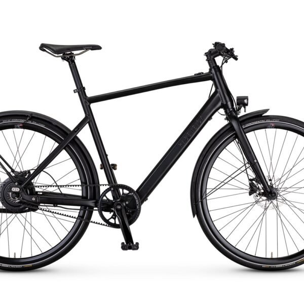 Rabeneick TX-E Singlespeed